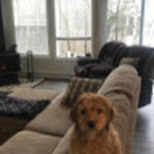 Meet your Posher, Daniel